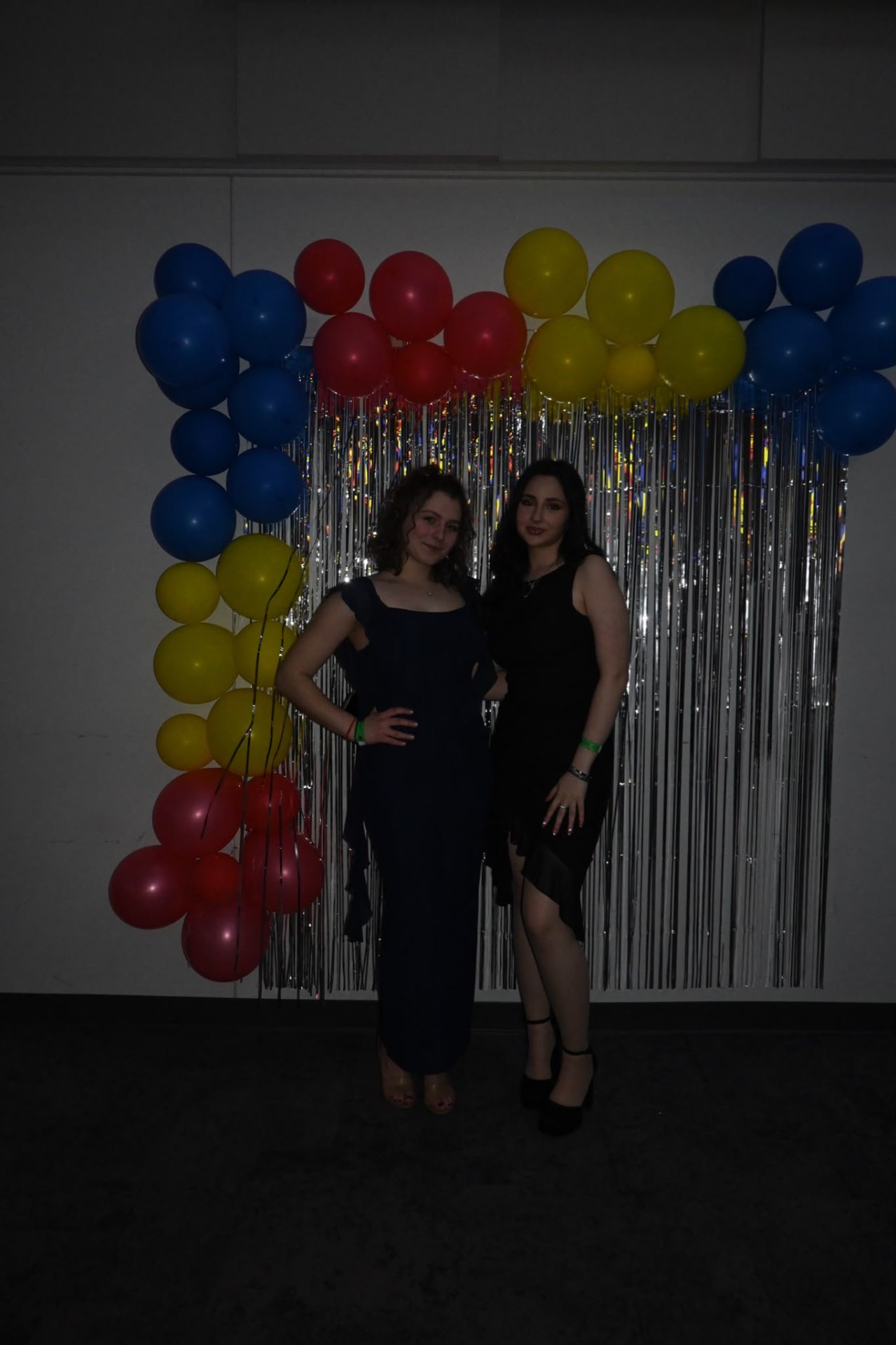 Romanian Bal 2026 — Tricolor Backdrop